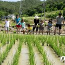 따오기품은 세진마을 이미지