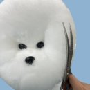 댕댕미용 이미지