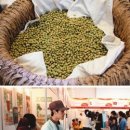 푸른푸드제주