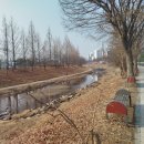 덕풍천 산책로 이미지