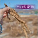 맑은산 한우농장 이미지