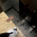 범고래상회 이미지