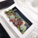 인천원예협동조합 이미지