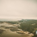 BOHENA(보헤나) 이미지