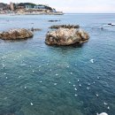 동광팬션 | 영덕 먹거리 동광어시장 아침식사 당일치기 바다 블루로드