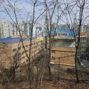 삼가초등학교 앞 이미지