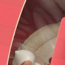 140-2-000025 | Weekly Diary 12-3 ~ 1-1