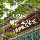 내장사 - 711 | 가을 맛집이지만 여름도 괜찮아_내장사 방문 후기