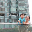 호텔 하버 이미지