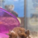 몬스타주 이미지