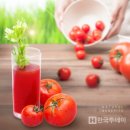 팀토마토 이미지