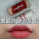 스내피 | 쿨톤병 완치! 웨이크메이크 소프트 블러링 밤 스틱 : 스내피 발색 & 솔직 후기(ft. 봄웜라)