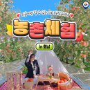 부여하늘농장2 이미지