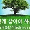 365매료