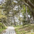 신안자동차 이미지