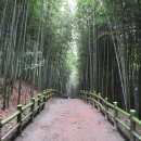 공설운동장 입구 2 이미지