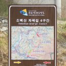 소백산자락길 4구간 (당동~마조~수촌~금곡~기촌~단양읍) 15.5 km 이미지