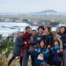 제주리브 이미지