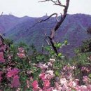 리베라여관 이미지