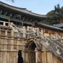 디스민박 이미지