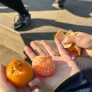 시루봉2농장 이미지