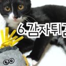 반달통신 이미지