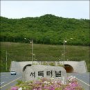 언덕위에 이미지