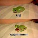 이안루
