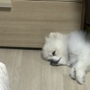 상쾌한이비인후과 앞 | 우당탕탕 전뚜빈의 9월 일상