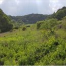 팔달드림공인중개사사무소 이미지