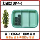 염산양만 | [치밀한 이유식] 중기 미역 큐브 만들기 건미역 5g의 기적과 15배 플러스 수율