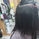 김수은헤어카페