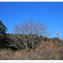 석포정미소 이미지