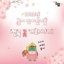 2022년 봄이 찾아왔나봄🌺 전국 꽃 개화시기! 이미지