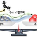백금 이미지