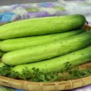 중부농산 이미지