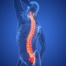 핏한의원 이미지