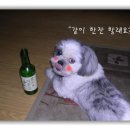 같이