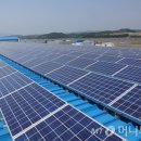 금호태양광발전소 이미지