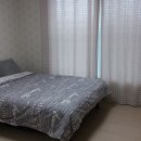 호수와바다 이미지