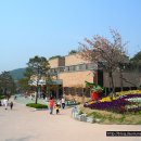 인천나비공원 이미지