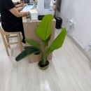 에고 | 강동구청필라테스 에고필라테스 후기
