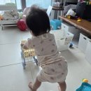 싱싱야채 - 수성구 들안로 277 | 아기장난감 주방놀이 브레드이발소 초코의 싱싱 쇼핑카트 후기