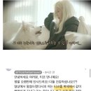 오늘자 1년만에 복귀한 댕댕이 유튜버 근황, 사유가 ㄷㄷㄷ 이미지