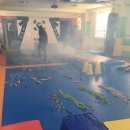 백호용인대합기도 이미지