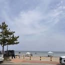 감나무 민박 이미지