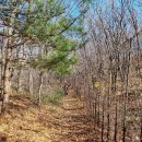 평화목장1 이미지