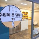 주방에 온 댕댕이 이미지