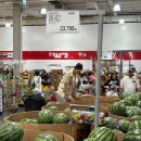 들꽃약국 | 7월 둘째주 코스트코 세일 및 과일 추천🍒🍑🥑🍏🍅