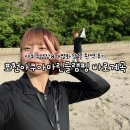 포천개울가 | 포천아쿠아마린글램핑 바로앞계곡, 야외수영장 개별화장실 완벽 후기